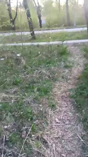 вечерний стрим