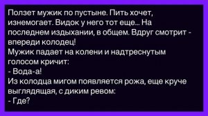 💁♂️Как_Мужик_Искал_В_Пустыне_Воду!_Сборник_Свежих_Смешных_Анекдотов!