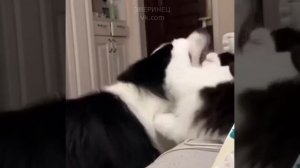 VID_20260516_041623_923.mp4
