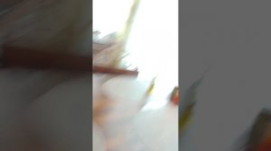 влог из тевриза