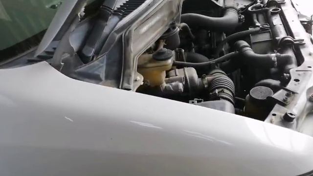 5589.mp4 смотреть онлайн