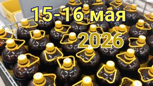 15 и 16 мая 2026. Всякое-разное...