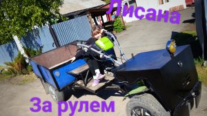 Лисана едет на тракторе😃😎 16-05-2026