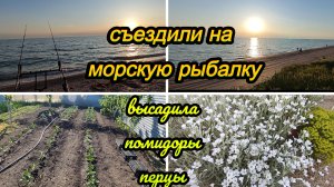 ПЕРВЫЙ РАЗ СЪЕЗДИЛИ НА МОРСКУЮ РЫБАЛКУ, ВЫСАДИЛА НА УЛИЦУ ПОМИДОРЫ, ПЕРЦЫ