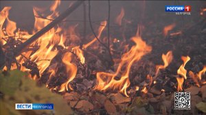 В Белгородской области с начала года произошло 98 ландшафтных пожаров