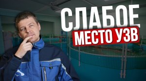 ПОЧЕМУ 90% ФЕРМ РАЗОРЯЮТСЯ В ПЕРВЫЙ ГОД | Главные ошибки при запуске УЗВ