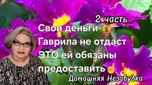 2 часть. Свои ДЕНЬГИ 💰 Гаврила не отдаст💯❗️ЭТО ей обязаны предоставить☝️❗️