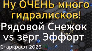 ЛУЧШИЙ Протосс на сегодня против одного из самых быстрых зергов effort - StarCraft Remastered