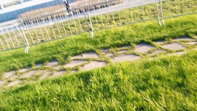 Рубрика Широка красота