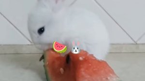 Вот вам видео:3