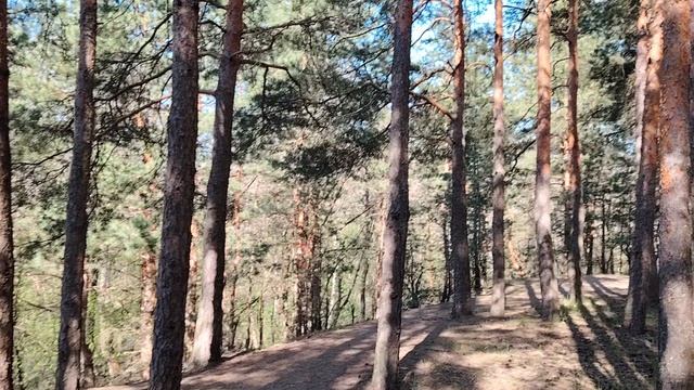 Лакеи и подхалимы в работе по найму в организации. Серьезная проблема которая требует решения