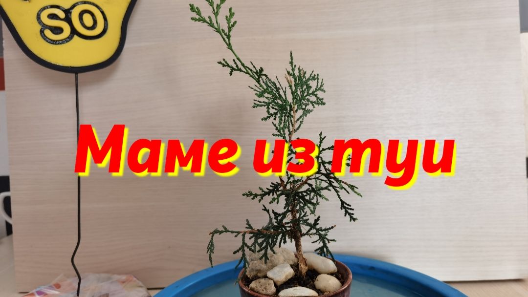 Маме из Туи