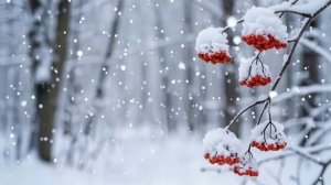 Не спеши, вьюга снежная