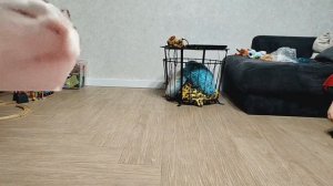 моя машина