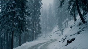 В ОБЪЯТЬЯХ НЕЖНЫХ ЖЕНСКИХ РУК