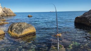 Рыбалка на Море, такой рыбалки я не ожидал.