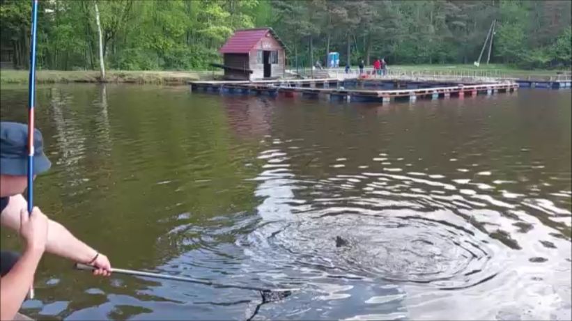 Карп клюёт на меляке. Клёвое  место, Лосиный остров, верхний водоём.