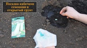ПОСАДКА КАБАЧКОВ В ОТКРЫТЫЙ ГРУНТ 🌱 Проще не бывает! Делюсь схемой