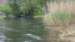 Мормышинг. Окунь.