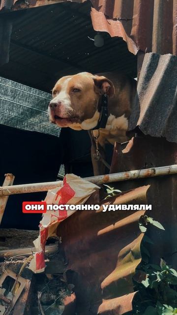 А так бывает