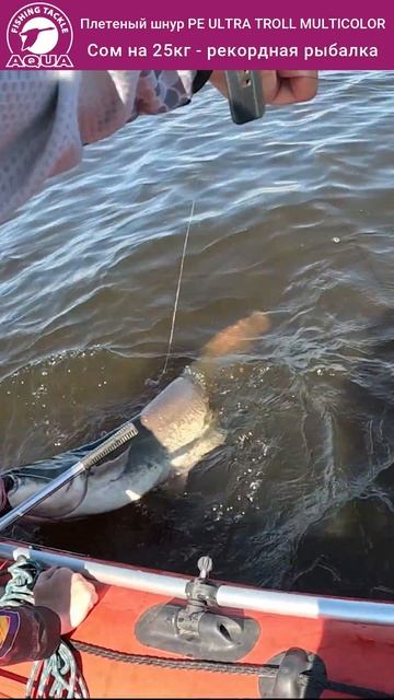 🎣🐟 Сом на 25 кг — не сон!  #рыбалка  #fishing