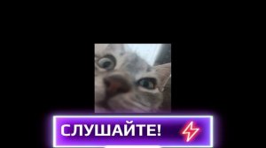 На недельку до второво я уеду в Комарово