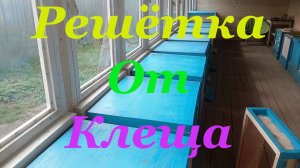 Изготовление и установка противоварроатозной решётки