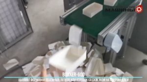 BOXXER-600 - склейка объемных лотков для выпечки и ланч-боксов для фаст-фуда на горячий клей