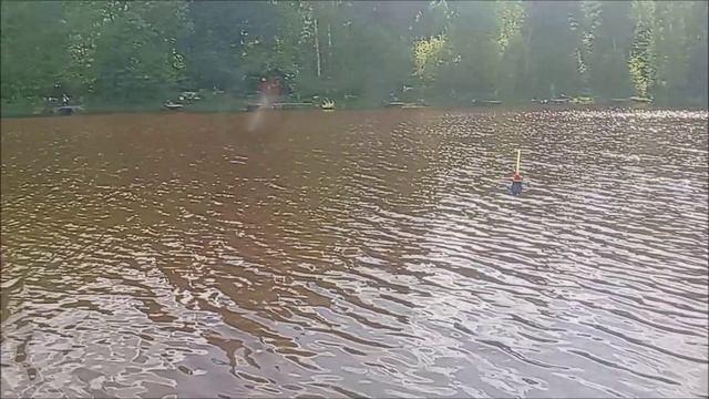 Поимки форели и карпа на верхнем водоёме. Клёвое место, Лосиный остров.
