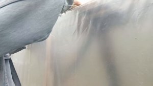 Натягиваем плёнку на парничек