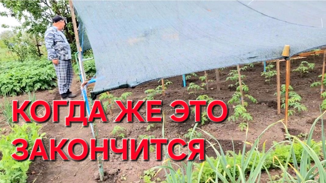 1238 Когда Это закончится. Мы Продолжаем. Балаган Стоит. Пеку Хлеб.