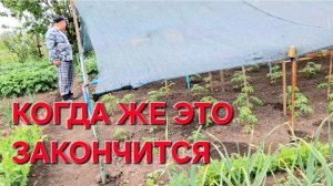 1038 Когда Это закончится. Мы Продолжаем. Балаган Стоит. Пеку Хлеб.