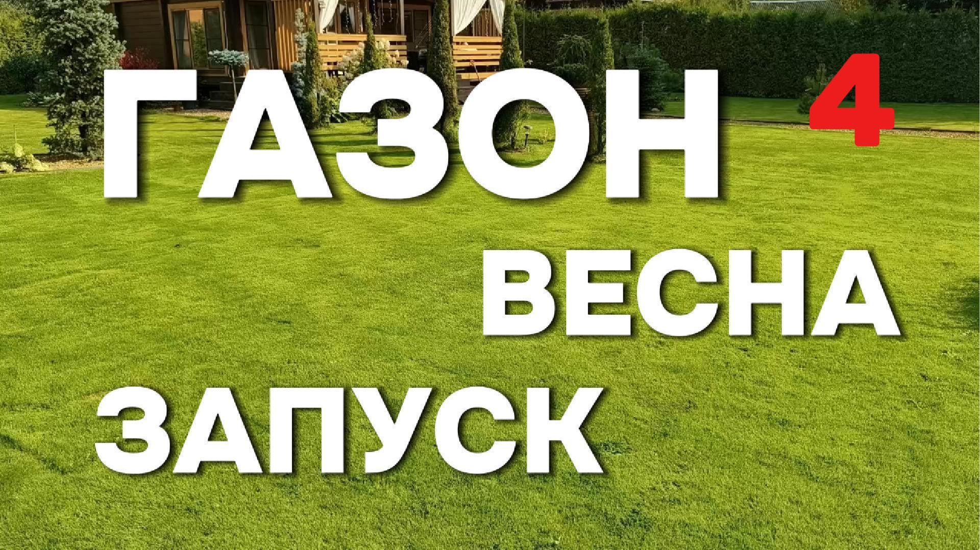 Запуск газона финал. Аммиачная селитра для газона: результат через 3–5 дней