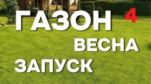 Запуск газона финал. Аммиачная селитра для газона: результат через 3–5 дней