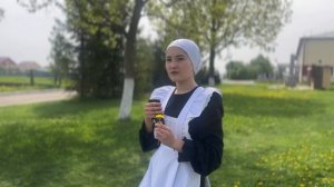 А. Н. Майков   «В мае»