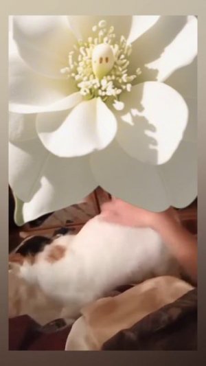 Россия.Сибирь. Ангарск. 17.05.2026г. 🥰🥰🥰 Они для нас СТРАНИЦА В ЖИЗНИ, а мы для них ВСЯ ЖИЗНЬ!