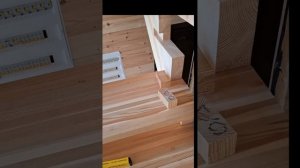 1000058424.mp4 (Собака наблюдает за устройством лестницы на 2-ой этаж в доме А-фрейм)
