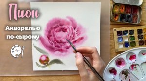 Как нарисовать пион акварелью по сырому. Цветы акварелью подробный мастер класс.