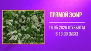 Анонс эфира 16.05.2026