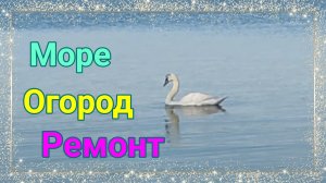 Море. Огород . Ледяная сосулька. Ремонт у мурманчан.