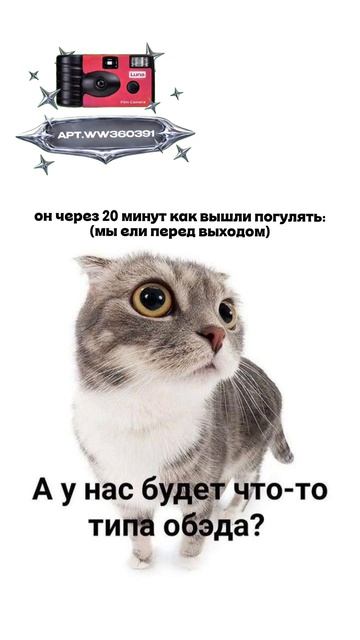 Плёночный фотоаппарат на 36 кадров (Артикул WB: #WW360391)💕