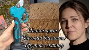 Новый цвет/Высокий бисквит/Крутой секатор