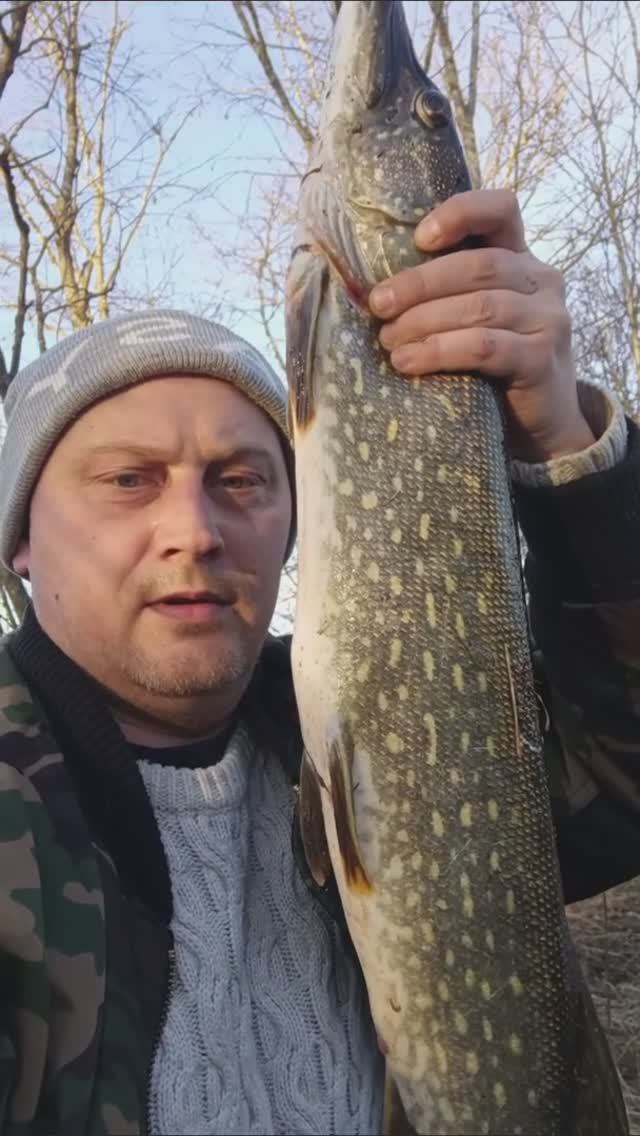 #Рыбалка Поймал крупную щуку