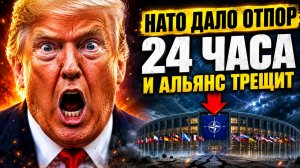 КРАХ НАТО КАК ТРАМП И ИСПАНИЯ МЕНЯЮТ ПРАВИЛА ИГРЫ В МИРОВОЙ БЕЗОПАСНОСТИ