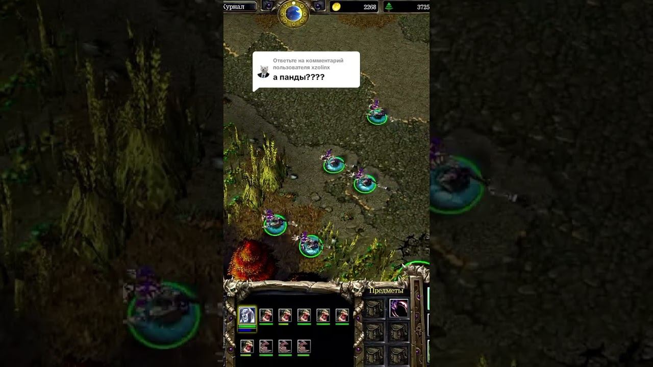 Секретка с пандой в Warcraft 3: Reign Of Chaos #gamingzone #shortvideo #warcraft3 #reignofchaos