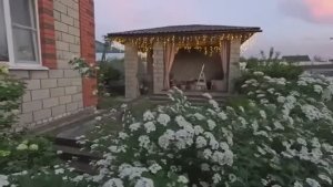 Жизнь вне орхидей - это ПОСЛЕДНИЙ их сезон для уюта в БЕСЕДКЕ - ОН всё ищет себе ЖЕНУ
