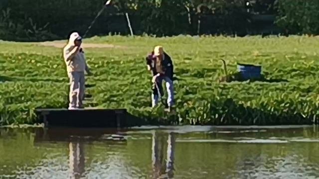 VID_20260516_080011_761