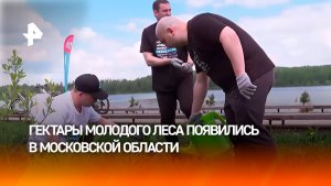 Сторонники партии «Новые люди» посадили 300 тысяч деревьев в Подмосковье