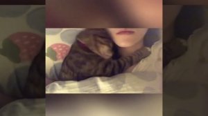 Осторожно: уровень милоты зашкаливает! 😸