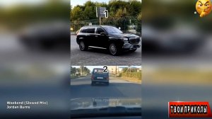 ✅ Я РЖАЛ ДО СЛЁЗ, СМЕШНЫЕ ПРИКОЛЫ 2026, СБОРНИК ПРИКОЛОВ, ЛУЧШИЕ ПРИКОЛЫ, С ДЕВУШКАМИ, С КОТАМИ